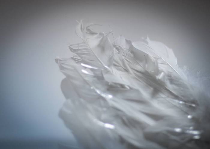 10356696_832774463431556_2421750339825214272_n