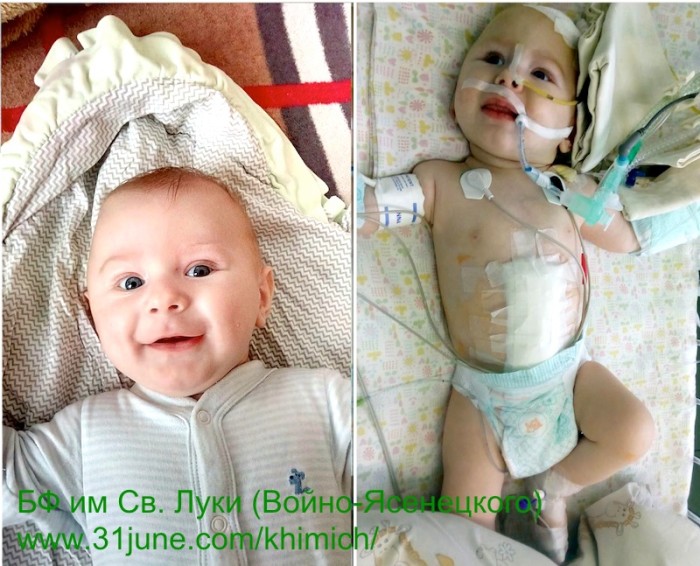 25577339_1732323033464803_248394293_o